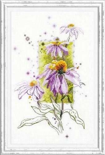 (image for) Echinacea